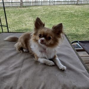 Meet your Posher, Alethea